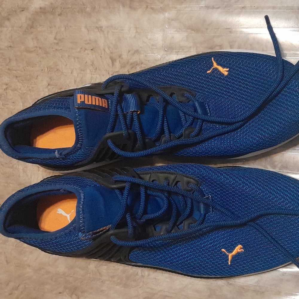 Mens Blue Mesh Pumas1